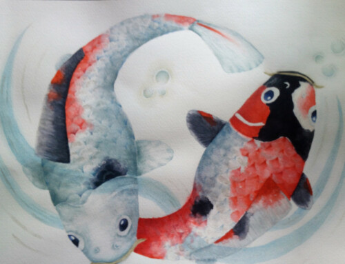 Koi karpers