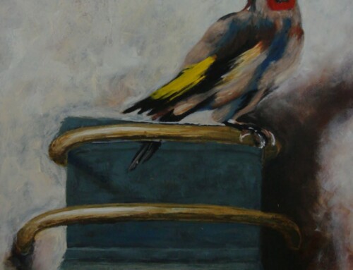 Puttertje van Fabricius