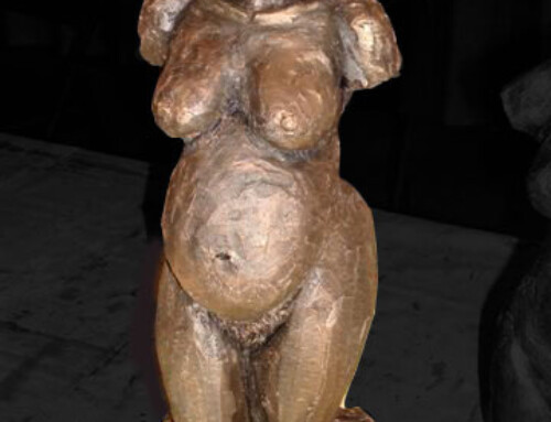 Zwanger vrouwenbeeld